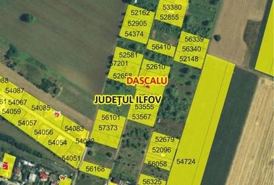 Teren de 18000 mp, în Dascălu - 3