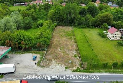 TEREN 2153 MP, BUJORENI - DESCHIDERE LA DN7 - 3