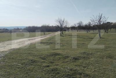 Teren de 90000 mp, în Aninoasa - 6