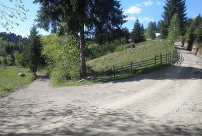 Spațiu comercial, în Ortoaia - 4