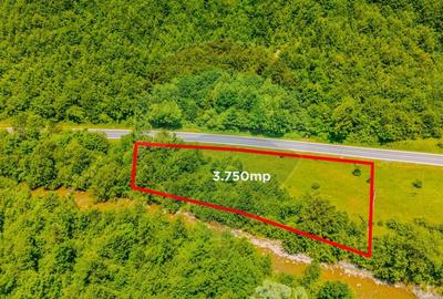 Teren intravilan de 3750 mp, în Brădet - 3