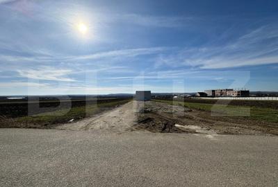 Spațiu industrial, de 336 mp, în Exterior Vest - 2