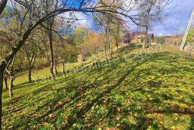 Teren de vanzare in comuna Arefu, jude? Arge?. - 5