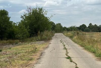 Pantelimon -Lebada- str.Olanesti(spre fabrica de Paine), 5000 mp. - 3