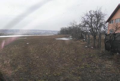 Teren de 5000 mp, în Schitu Hadâmbului - 9