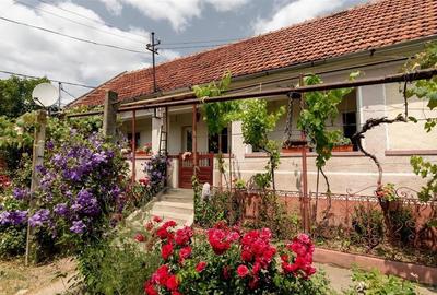 RECO Casa de vanzare Ineu - 16