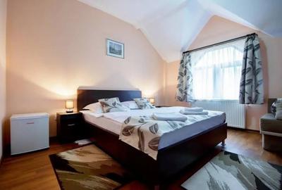 Casă cu 10 camere în Central - 7