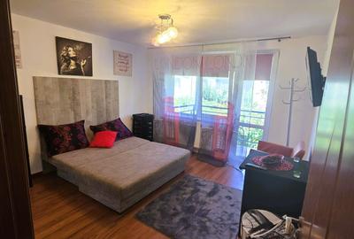 2 camere, în vila, la curte, centrala, parcare, pet friendly, metrou Gorjului, - 2