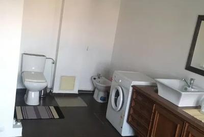 Apartament cu 3 camere semidecomandat, mobilat în Dacia - 6