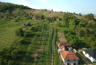 Spațiu comercial, în Orașu Nou - 4