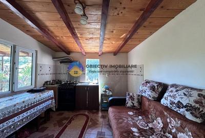 Casa + teren de vanzare - Zanesti - 4