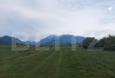 Teren de vanzare in Rasnov zona Glejerie, 10.000 mp - 5