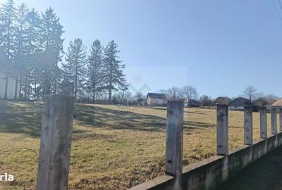 Teren de 4700 mp, în Brusturi