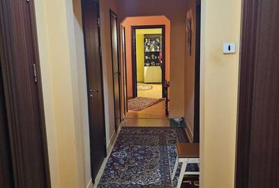 Apartament cu 3 camere decomandat în Brazda lui Novac - 7