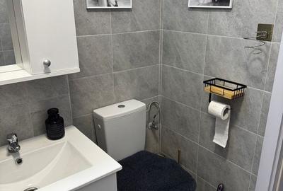 Garsonieră decomandată, mobilată în Theodor Pallady - 1