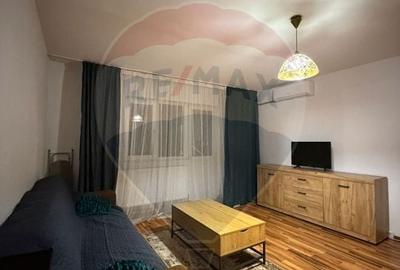 Apartament cu 3 camere de inchiriat- Brazda lui Novac - 2