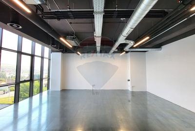 Spațiu birouri de inchiriat 57-127 mp Clasa A Gruia. - 4