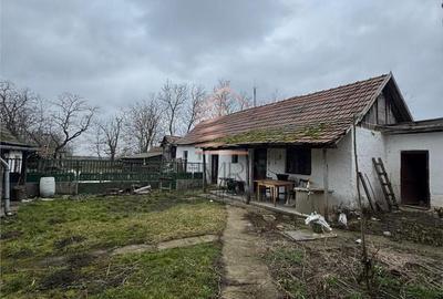 Casă cu 4 camere cu Teren 2000 Mp în Vest - 8