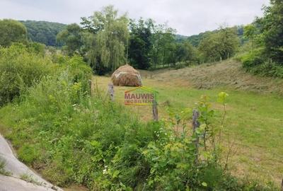 Teren intravilan de 1659 mp, în Vărbilău - 3