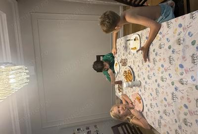 Apartament cu 2 camere si curte - 8