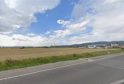 Teren agricol extravilan de 5550 mp, în Sud - 4