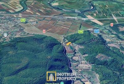 Teren de 4961 mp, în Vărădia de Mureș - 8
