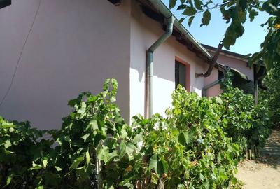 Casă cu 4 camere cu Teren 650 Mp în Bordei - 15