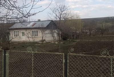 Casă cu 3 camere în Central