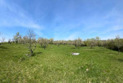 Teren de 4000 mp, în Suatu - 3