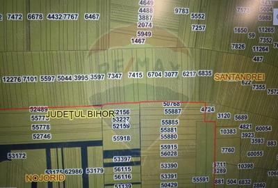 Teren extravilan de vanzare - 3