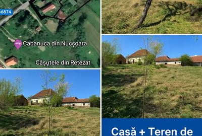 Casă cu 2 camere în Nucșoara