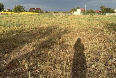 Teren de 10000 mp, în Sârbi - 5