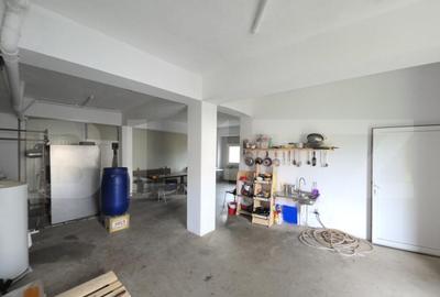Spa?iu multifunc?ional de vanzare Cetan, Comuna Vad - 16