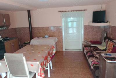 Vind casa la tara - 3