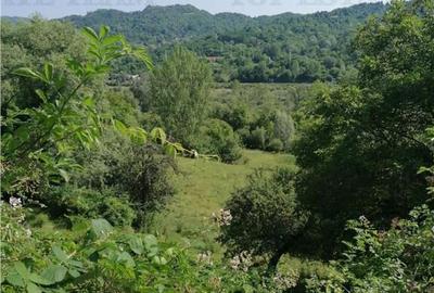 Teren 11230 m.p. Conac - necesita renovare - 16