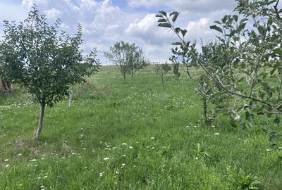 Casă cu 5 camere în Central - 4