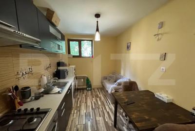 Apartament cu 2 camere decomandat în Calea București - 2