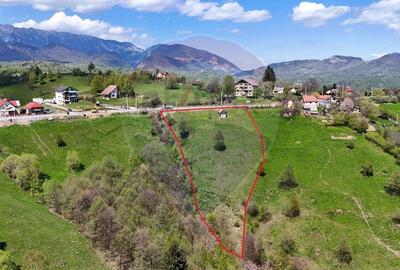 Teren Construcții intravilan de 5694 mp, în Moieciu - 6