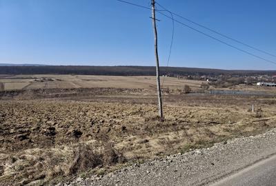 Spațiu comercial, în Mitocu Dragomirnei - 1