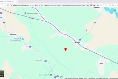 Teren agricol extravilan de 10000 mp, în Tărtășești - 5