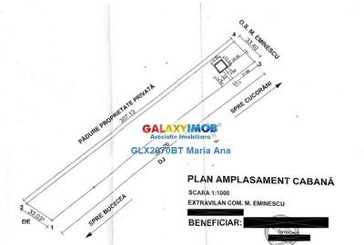 Teren Padure 6.500 mp., la strada, zona Cucorani! - 2