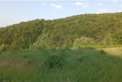 Spațiu comercial, în Central - 3