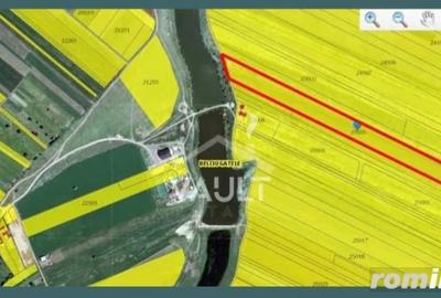 Teren de 27500 mp, în Belciugatele - 6