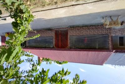 Livada 600pomi de 12 ani,cu casa 2camere,baie ,bucatarie,10000mp - 7