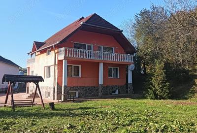 Casa de vanzare tip vila - 5