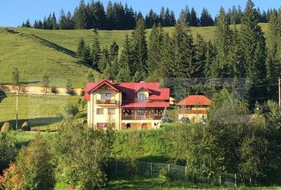 Casa cu destinatii multiple, 8900 mp teren, Vatra Moldovitei - 17