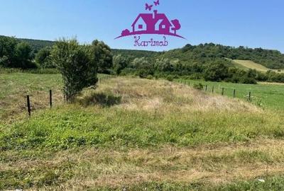 Teren intravilan Hidiselul de Sus - 6