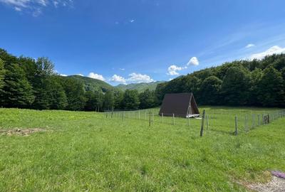 Teren de 20000 mp, în Reghin - 3