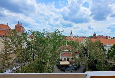 Apartament cu 4 camere decomandat, mobilat în Ultracentral - 4