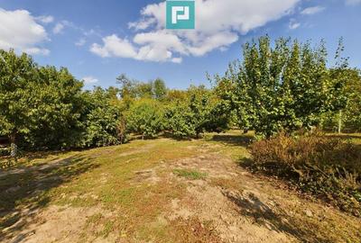 Casa cu teren 2877 mp, ora?ul Ineu - 4